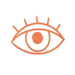 Icon of the eye